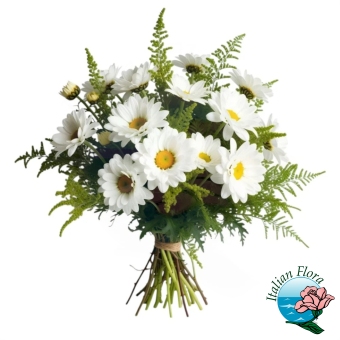 Bouquet di Margherite bianche 